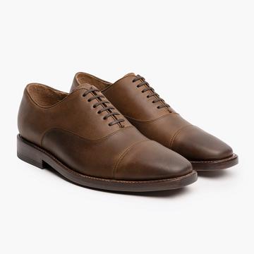 Thursday Executive Leather Men's Dress Shoes Coffee | AU355CTV