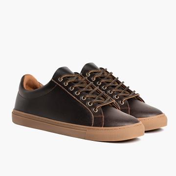 Thursday Premier Low Tops Leather Classic Men's Sneakers Brown | AU368OKI