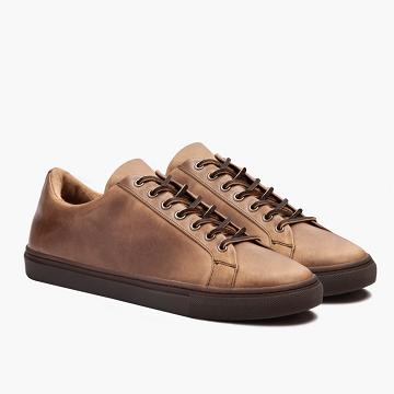 Thursday Premier Low Tops Leather Men's Sneakers Brown | AU372TCE