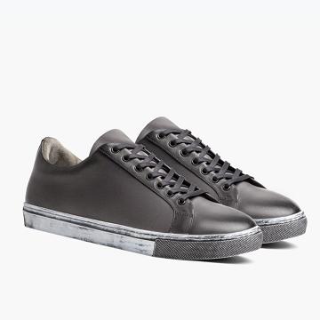 Thursday Premier Low Tops Leather Men's Sneakers Grey | AU376QMA