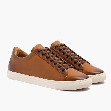 Thursday Premier Low Tops Leather Rugged & Resilient Men's Sneakers Gold | AU370UZG