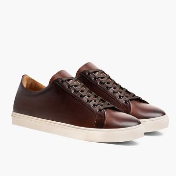 Thursday Premier Low Tops Leather Rugged & Resilient Men's Sneakers Coffee | AU371YXF